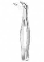 Fig. 203 lower incisors and roots 